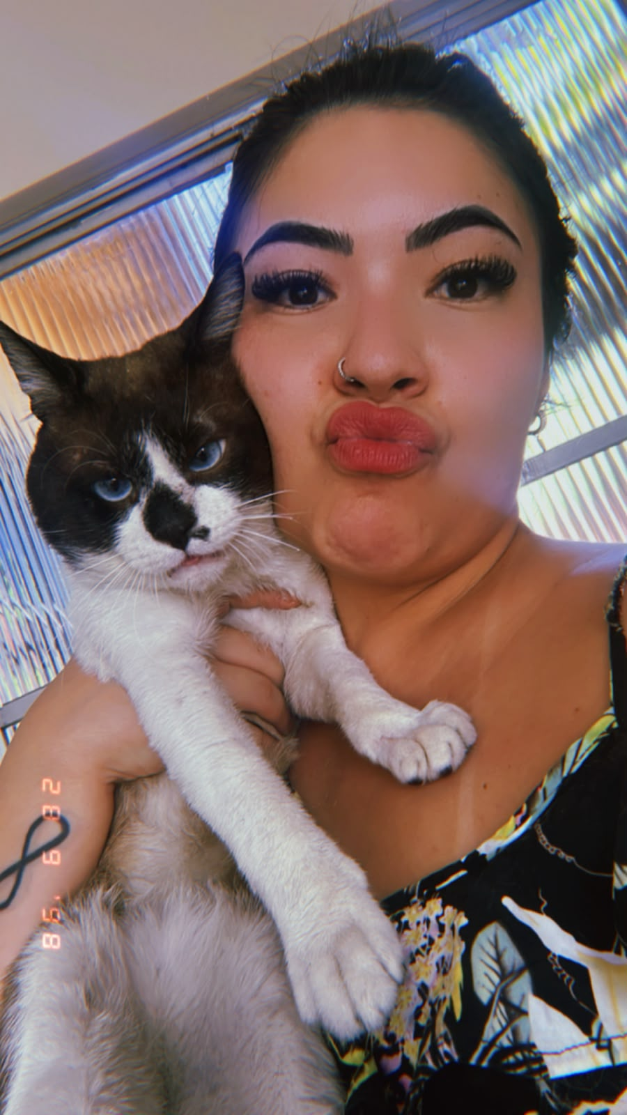 Protetora com gato de olhos azuis