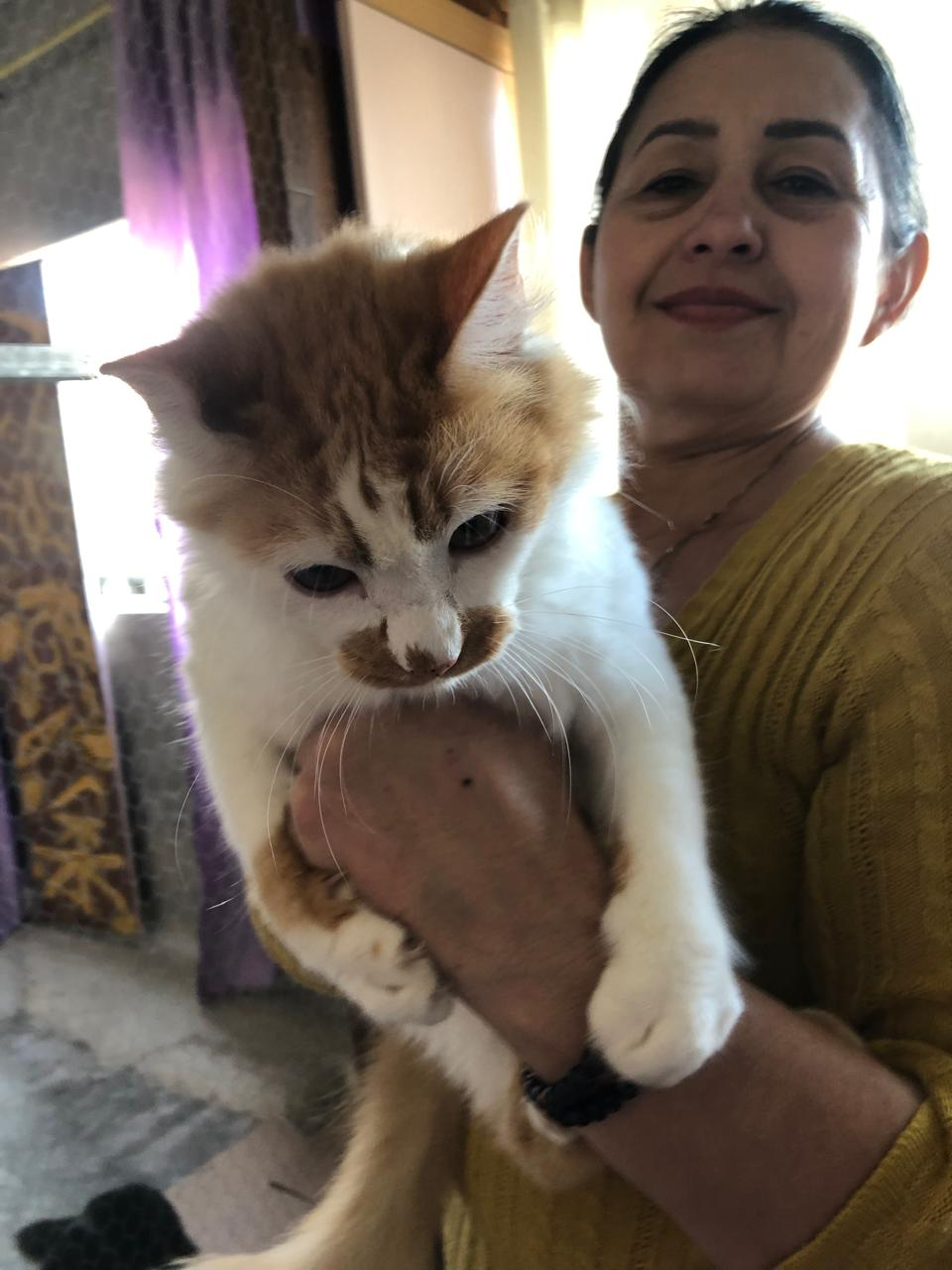 Senhora com gatinho no colo